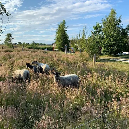 Tatil Evi Holiday Xv Rønne